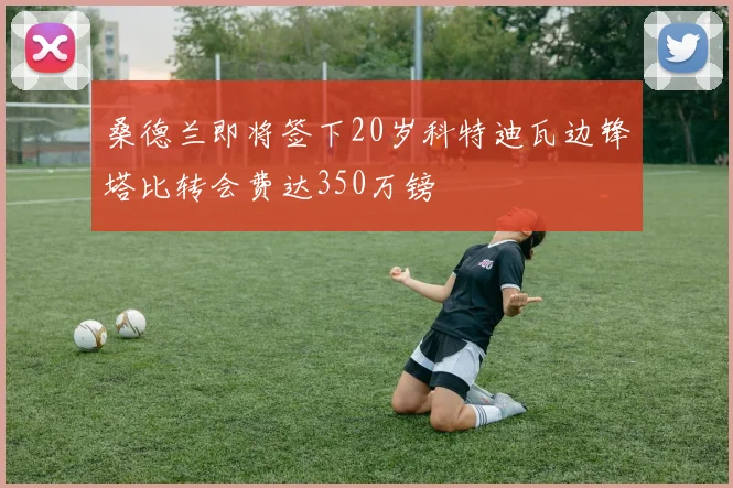 桑德兰即将签下20岁科特迪瓦边锋塔比转会费达350万镑